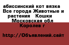 абиссинский кот вязка - Все города Животные и растения » Кошки   . Московская обл.,Королев г.